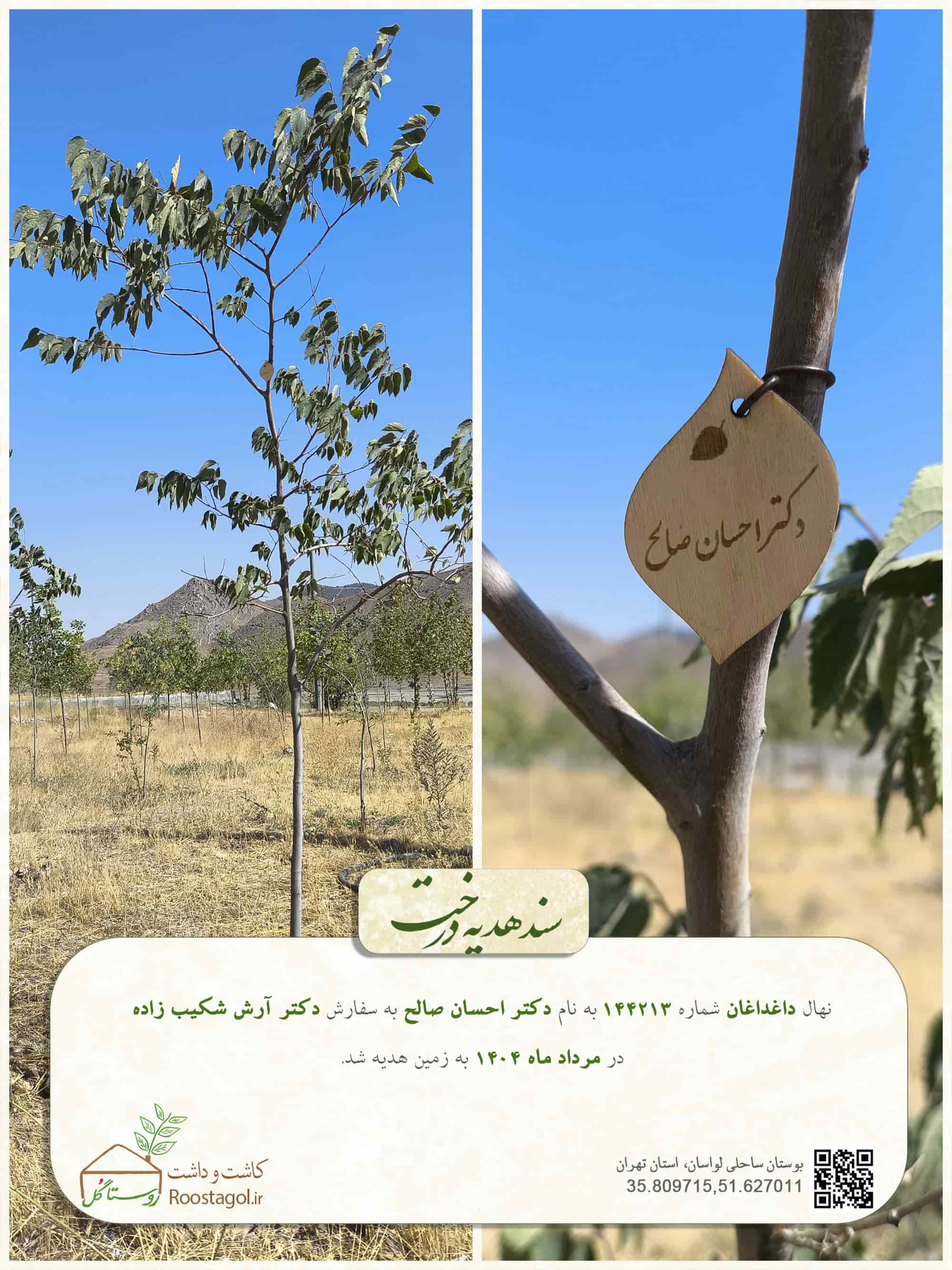 دکتر احسان صالح